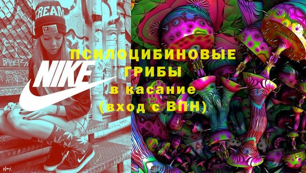 ПСИЛОЦИБИНОВЫЕ ГРИБЫ Балабаново