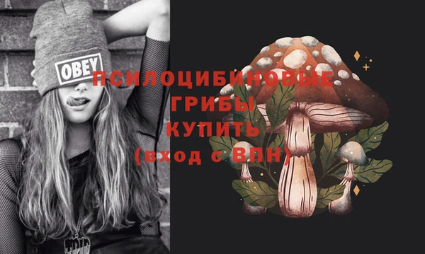 ПСИЛОЦИБИНОВЫЕ ГРИБЫ Балабаново
