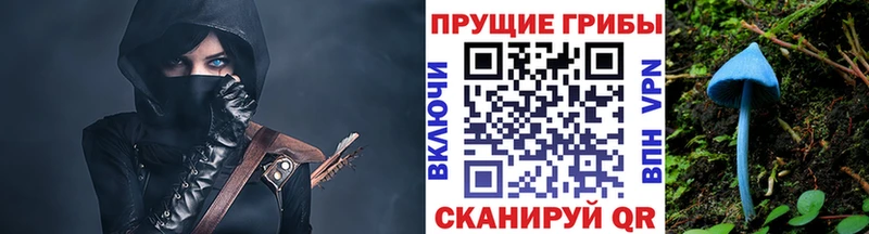 Псилоцибиновые грибы мухоморы  Волжский 