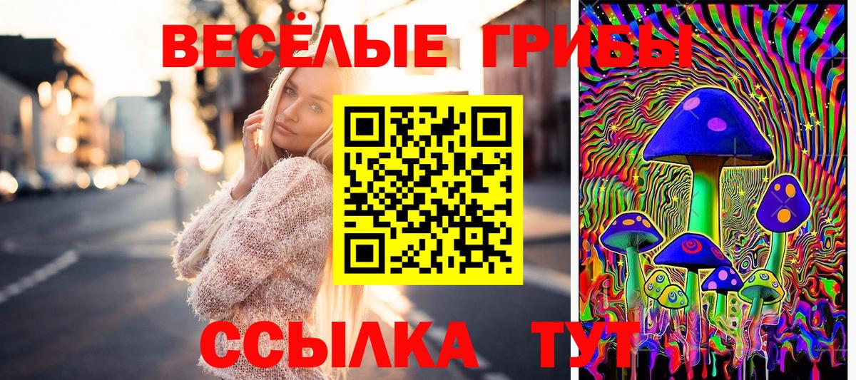 Галлюциногенные грибы мухоморы Волжский