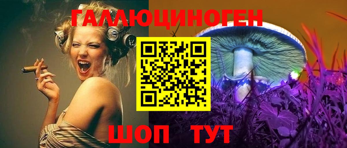 Волжский  Галлюциногенные грибы Psilocybine cubensis  Вход с VPN 